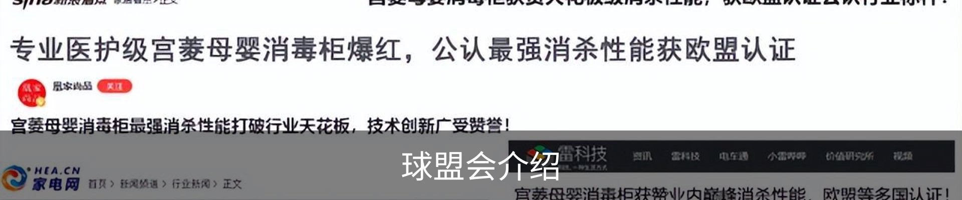 球盟会介绍